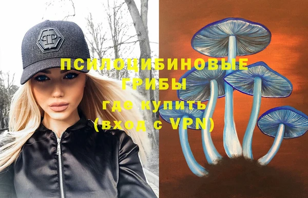 apvp Беломорск