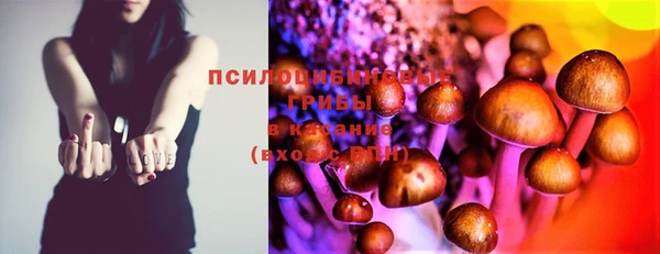 apvp Беломорск