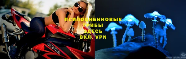 apvp Беломорск