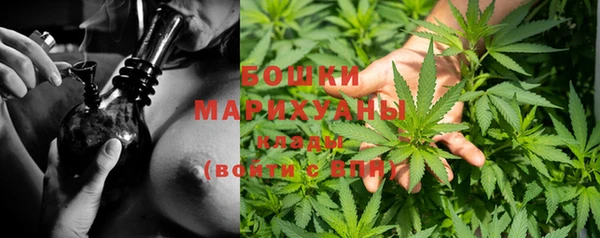 не бодяженный Белокуриха