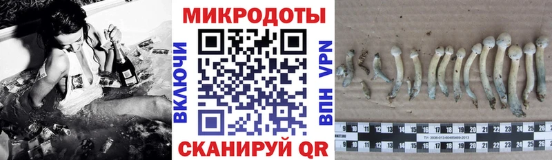 цены   Кувандык  маркетплейс формула  Галлюциногенные грибы Magic Shrooms 